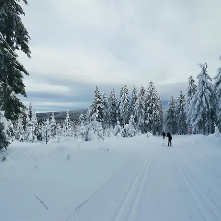 Landgasthof Und Erzgebirgsstuebel Гостевой дом Tellerhauser