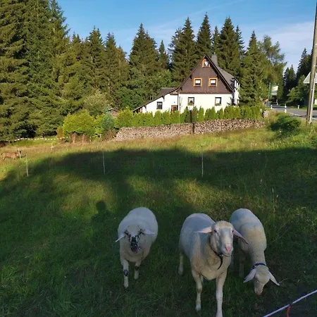Landgasthof Und Erzgebirgsstuebel Tellerhauser