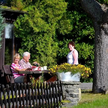 Landgasthof Und Erzgebirgsstuebel 3* Tellerhauser