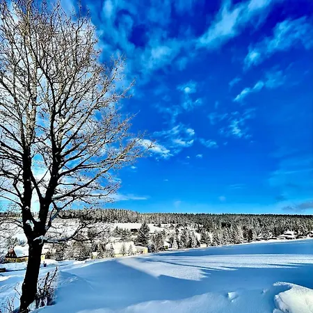 Гостевой дом Landgasthof Und Erzgebirgsstuebel 3*