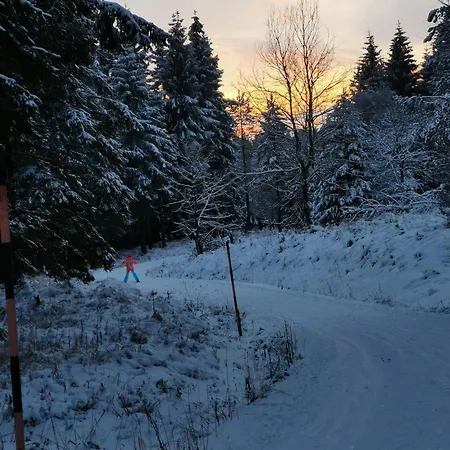 Landgasthof Und Erzgebirgsstuebel 3* Tellerhauser
