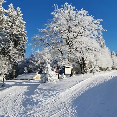 Landgasthof Und Erzgebirgsstuebel Гостевой дом